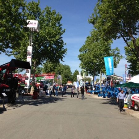 Poljoprivredni sajam u Novom Sadu (1) Poljoprivredni sajam u Novom Sadu (1)